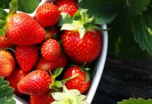 Як доглядати полуницю? Поради експертів