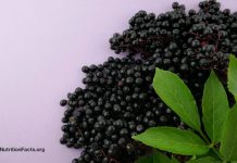 Як щодо бузини, ехінацеї та журавлини при застуді та грипі?