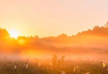 Післяпологовий запах тіла справжній: ось як зберегти свіжість-Блог Calm