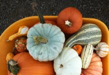 Уважні подарунки на День подяки: вираз вдячності з наміром