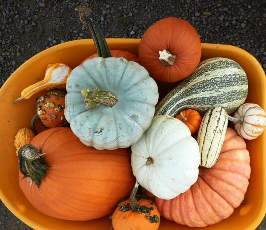 Уважні подарунки на День подяки: вираз вдячності з наміром