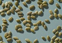 Могутнє гарбузове насіння: крихітне джерело енергії для білка та іншого