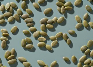 Могутнє гарбузове насіння: крихітне джерело енергії для білка та іншого