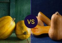Баттернат Сквош проти Спагетті Сквош: детальний аналіз харчової цінності