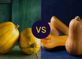 Calabaza butternut versus calabaza espagueti: un desglose nutricional