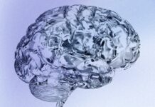 Зв’язок зі стресом: чому жінки вдвічі частіше страждають від хвороби Альцгеймера