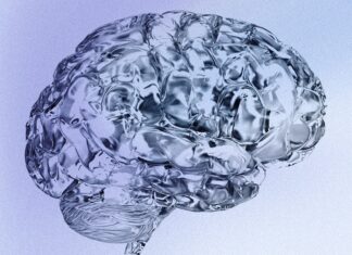 Зв’язок зі стресом: чому жінки вдвічі частіше страждають від хвороби Альцгеймера