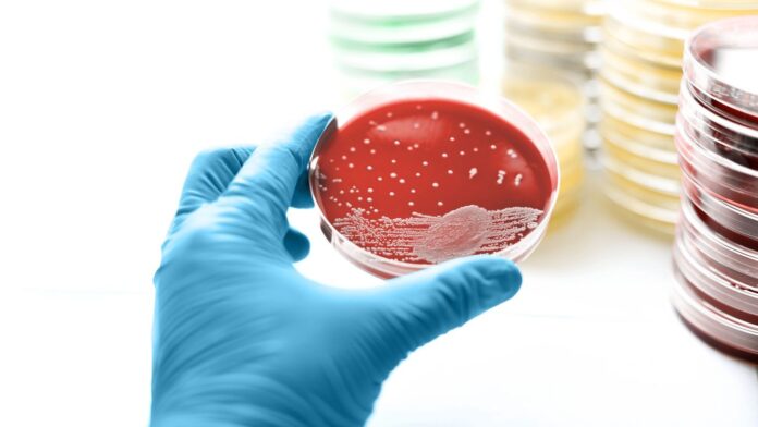 b42a213e-7c40-4d3f-a40e-474effc56cd3