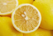 Як вибрати ідеальний лимон: посібник зі свіжості