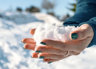 Apakah Makan Salju Aman? Panduan untuk Camilan Dingin Musim Dingin