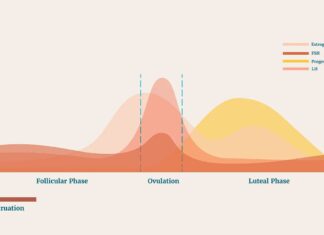 Come i cambiamenti ormonali determinano i cambiamenti mensili dell’umore nelle donne