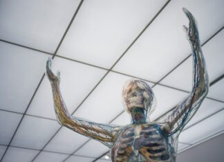 Здоровое кровообращение: Основа целостного оздоровления