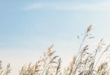 Відпускати: Чому ми контролюємо, і як це припинити