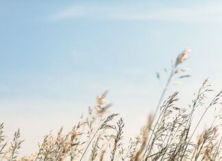 Відпускати: Чому ми контролюємо, і як це припинити