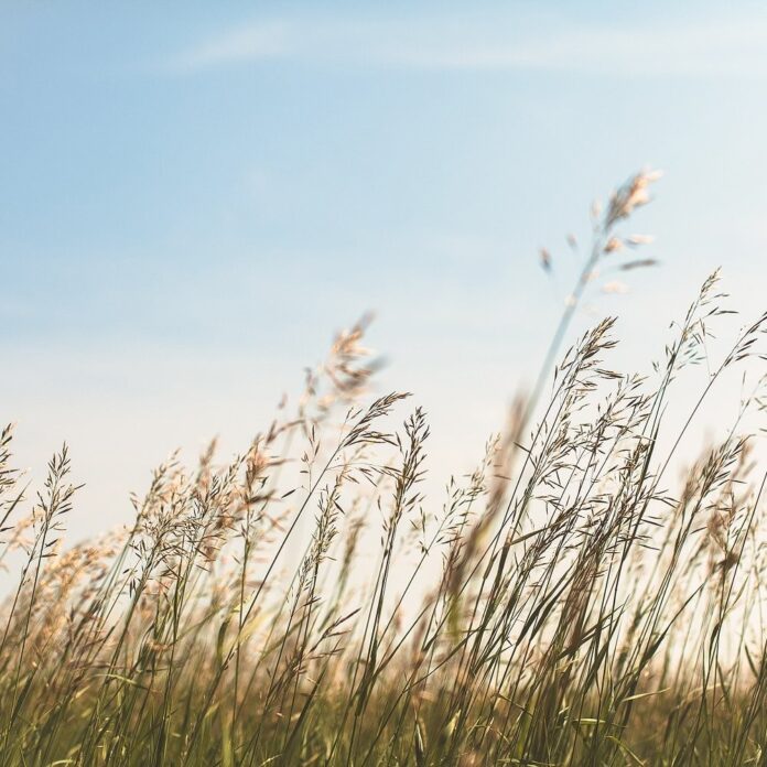 658a07c5-c52e-4f63-8c7a-8888d30e03fe