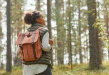 Чому мозку потрібен природу: Наука про полегшення стресу