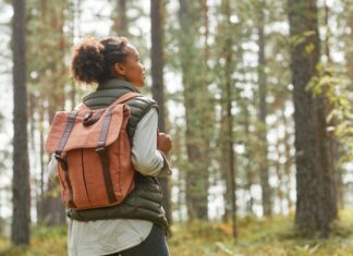 Warum Ihr Gehirn die Natur braucht: Die Wissenschaft des Stressabbaus