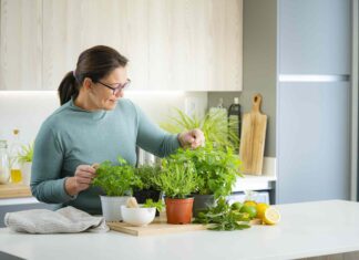 13 hierbas y especias que pueden ayudar a controlar el peso