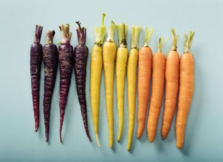 Os surpreendentes benefícios das cenouras para a saúde: além da boa visão