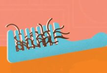 Кето-дієта та випадання волосся: що потрібно знати