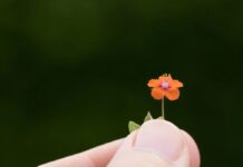 Більш ніж медитація: 10 практичних способів впровадити свідомість у повсякденне життя