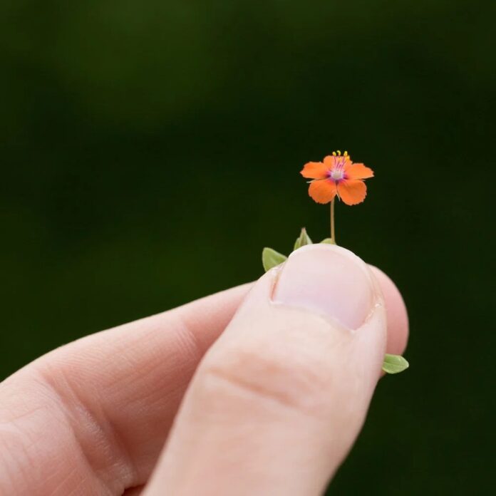 0644e721-1ed4-4f3f-9017-ff38118c5789