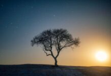 Що таке «гарячі сни»: чому вони виникають і як з ними справлятися