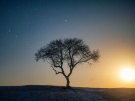 Що таке «гарячі сни»: чому вони виникають і як з ними справлятися