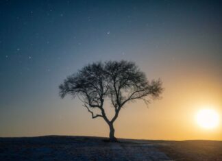 Що таке «гарячі сни»: чому вони виникають і як з ними справлятися