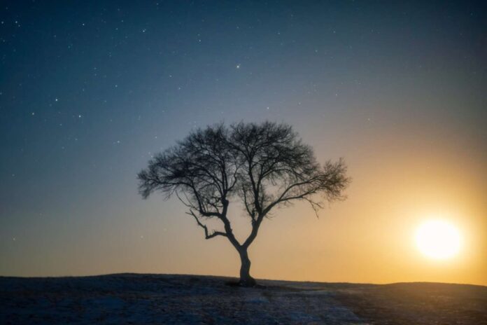 14a9c572-c4b4-4728-bf4b-4036e7736963