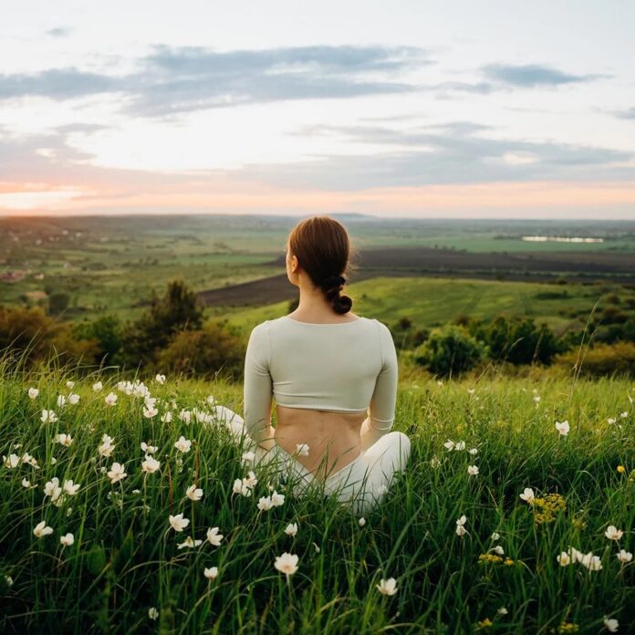 3c3dae7d-3c15-4a01-9a04-7357d26be89c