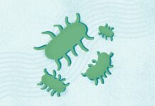 Сальмонельоз: Розуміння Інфекції, Симптомів та Профілактики