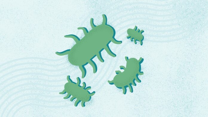 5ba300fa-8cd8-4153-b55c-350a0c7f038a