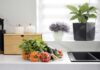 Stop Wasting Food: 8 Items That Belong in the Fridge, Not on Your Counter
