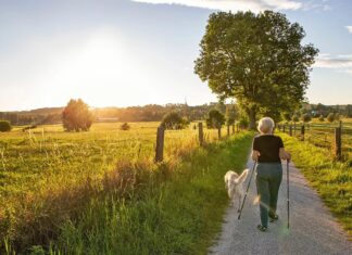 Debunking the Myths: What the Latest Science Really Says About Multiple Sclerosis